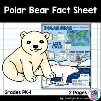 Preview of Polar Bear Fact Sheet for Early Readers - Animal Study