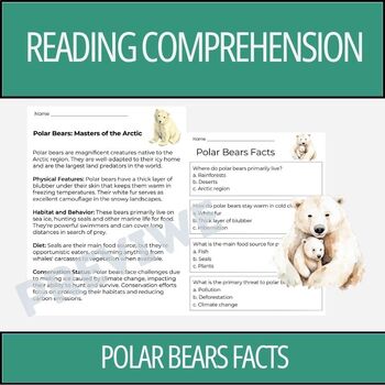 Preview of Polar Bear Facts - Reading Comprehension Activity | 2nd Grade & 3rd Grade
