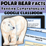 Polar Bear Facts Reading Comprehension - Google Classroom 