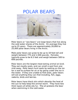 Preview of Polar Bear Informational Comprehension Pack