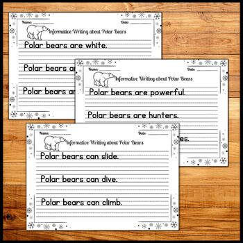 Polar Bear Informative Sentence Writing Practice Worksheets with True Facts