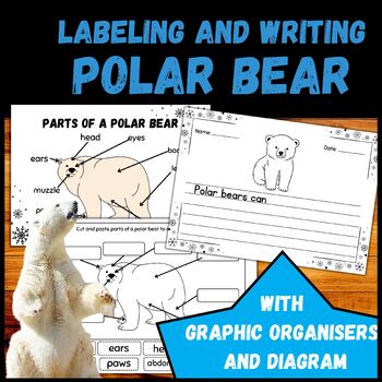 Polar Bear Informative Writing Labeling and Writing Activities with ...