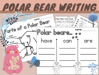 Preview of Polar Bear Informative Writing | Winter Animal Investigation | Comprehension