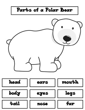 Polar Bear: Label Body Parts by Tapatha Cooksey | TpT