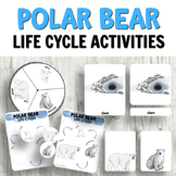 Polar Bear Life Cycle Activities for Preschool and Science