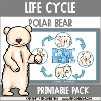 Preview of Polar Bear Life Cycle Activities and Worksheets