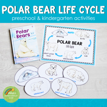 Bear Life Cycle Worksheets Teaching Resources Tpt