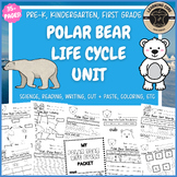Polar Bear Life Cycle Science Worksheets Polar Bear Winter