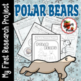 Polar Bear Research Report