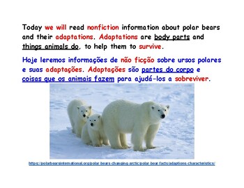 Preview of Polar Bear Resources