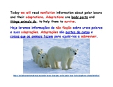 Polar Bear Resources