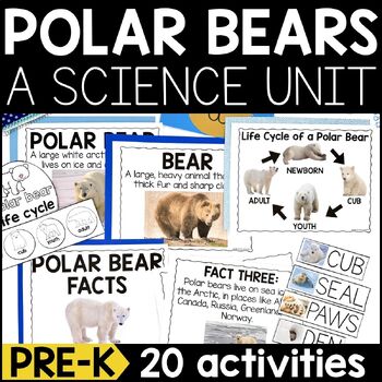 Preview of Polar Bear Science Lessons and Activities for Pre-K