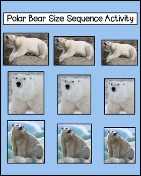 Preview of Polar Bear Size Sequence Activity