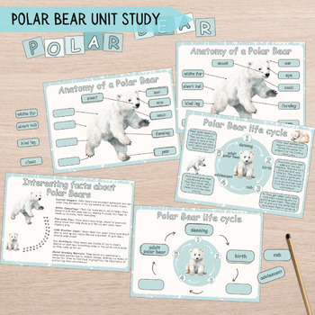 Preview of Polar Bear Unit Study, Winter Nature Study, Montessori Printable Worksheets