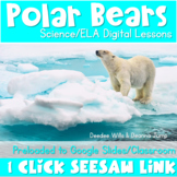 Polar Bear Unit of Study Digital