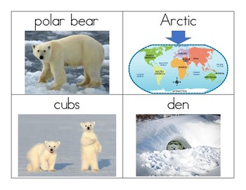 Preview of Polar Bear Vocabulary and Photo Flashcards