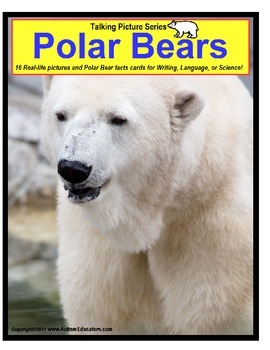 Preview of Polar Bears