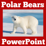 Polar Bears | Arctic Animals | PowerPoint  | Kindergarten 