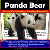 All About Panda Bears with Pictures and Facts for Reading 