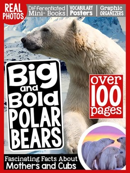 Preview of Polar Bears {A Complete Nonfiction Resource!}