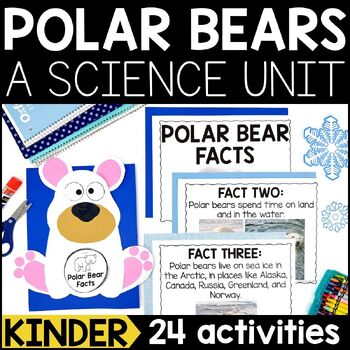 Preview of Polar Bears Science Lessons, Crafts, and Activities for Kindergarten