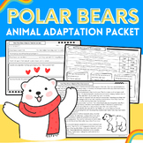 Polar Bears: Animal Adaptation Science & Nonfiction Readin