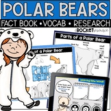 Polar Bears | Arctic Animals | Polar Animals