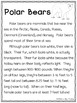 Polar Bears Close Read & Informative Writing by Crazy About Teaching