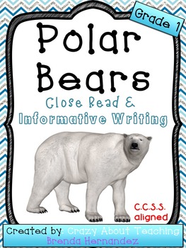 Preview of Polar Bears Close Read & Informative Writing
