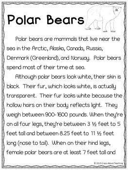 informative essay about polar bears