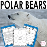 Polar Bear Activities - Science and Informational Text - P