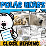 Polar Bears First Grade | Polar Bears Reading Passages