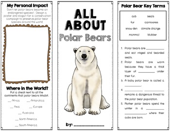 Polar Bears Foldable Brochure Research Project, Using Informational