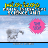 Polar Bears Google Slides  Digital Interactive Winter Unit