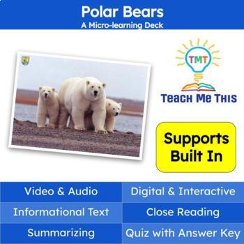 Preview of Polar Bears Informational Text Reading Passage and Activities
