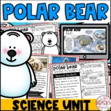 Polar Bears Kindergarten