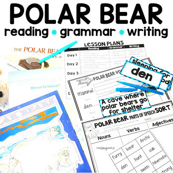 Polar Bears Vocabulary Cards & Activities Nonfiction Reading, Writing ...