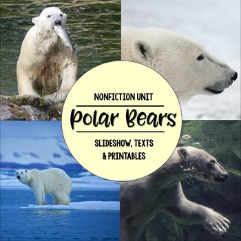 Preview of Polar Bears Nonfiction Close Reading & Visual Vocabulary Unit