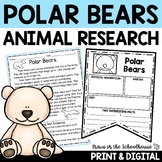 Polar Bears Research Reading Writing | Animal Research Report