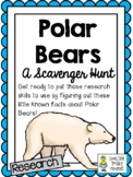 Polar Bears - Scavenger Hunt Activity and KEY