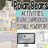Polar Bears Winter Science Activity, Reading Comprehension
