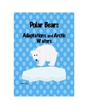 Polar Bears and Adaptions: An Exploration of the Arctic