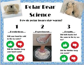 Preview of Polar Blubber Science