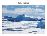 Polar Habitat