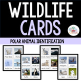 Polar Habitat Wildlife Identification Cards-- Arctic, Anta