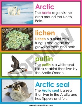 Polar Habitat Word Wall Vocabulary by Nikki and Nacho | TPT