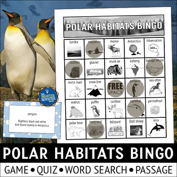 Preview of Polar Habitats Bingo Game and Activities