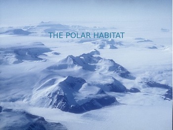 Preview of Polar Habitats PowerPoint