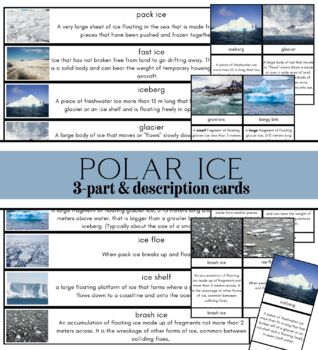 Preview of Polar Ice Study 3-part description cards