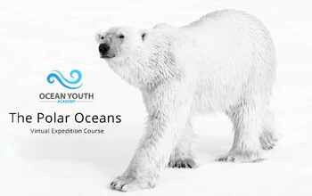 Preview of Polar Oceans Course- Downloadable PDF Workbook and Supporting Videos
